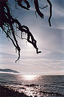 Lake Baikal.