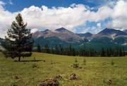 Alpine meadows in the upper reaches of Oka river 