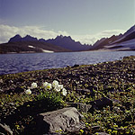 The view of Lake Baikal.