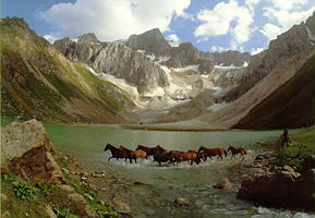 On horse in Kirghizia