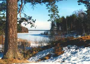 Lake Hippiyarvi at Kavgolovo village 40 km from St.Petersburg