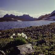 The Lake Baikal.