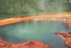 Nalychevo hot springs