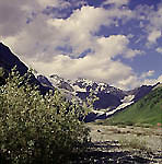  Katun river valley near its efflux. Kazakhstan territory.