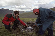 Trekking in Elbrus area