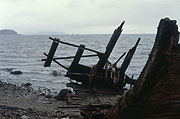 Wreck on the beach in Petropavlovsk