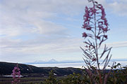 View from the Avacha base camp