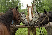 Starting point of horse-back riding