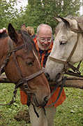 Horse-back riding in Kamchatka wilderness