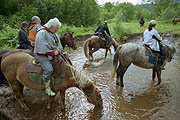 Horse-back riding in Kamchatka wilderness