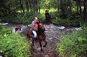 Horse-back riding in Kamchatka wilderness