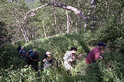 Trekking in Kamchatka wilderness