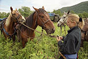 Horse-back riding in Kamchatka wilderness