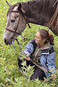 Horse-back riding in Kamchatka wilderness