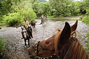 Horse-back riding in Kamchatka wilderness