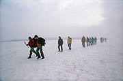 Trekking to the Mutnovskiy volcano in Kamchatka