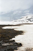 Kamchatka: early spring in the beginning of August