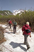 Trekking to the Vilyuchinsky waterfall in Kamchatka