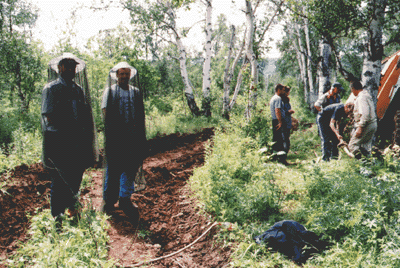 In the wilderness on the way to Timonovskiye springs